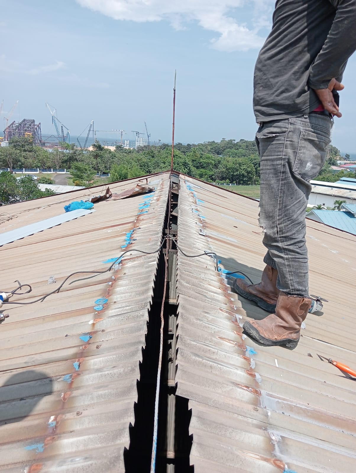 WhatsApp Image 2026-01-19 at 11.51.16 AM